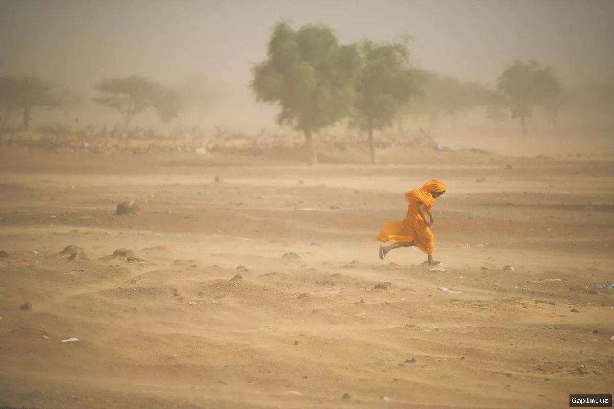 🌬️💨 O‘zbekistonda shamol kuchayishi kutilmoqda