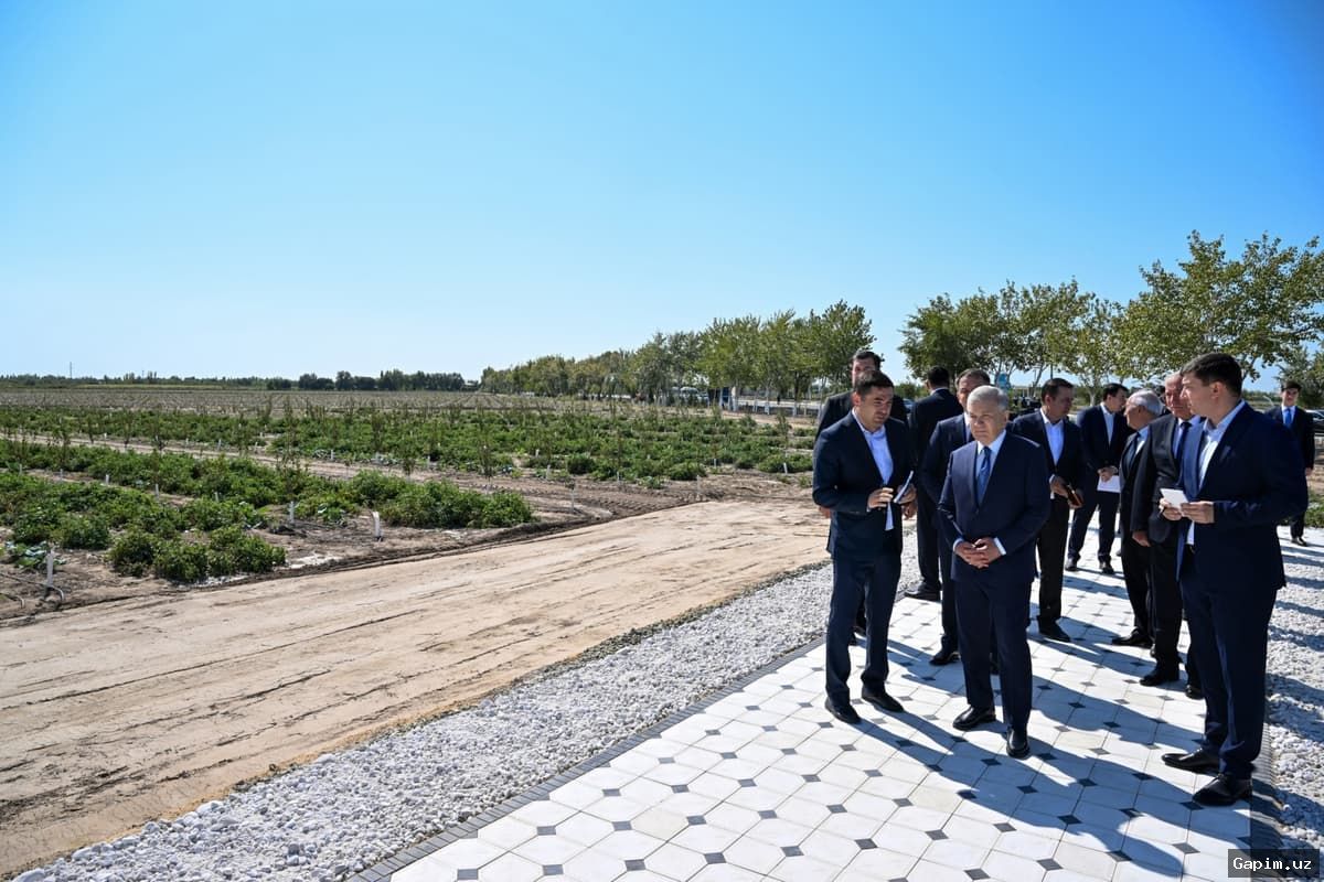 🌱🌳 Qashqadaryoda yangi ko‘chat yetishtirish markazi ish boshladi
