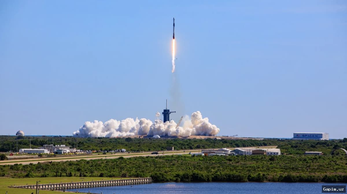🛰️💰 Илон Маск пообещал раздать акции SpaceX американским детям