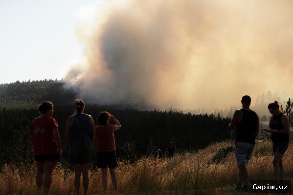🔥🌲 Spokane wildfires: 65,000 evacuated, over 700 buildings destroyed