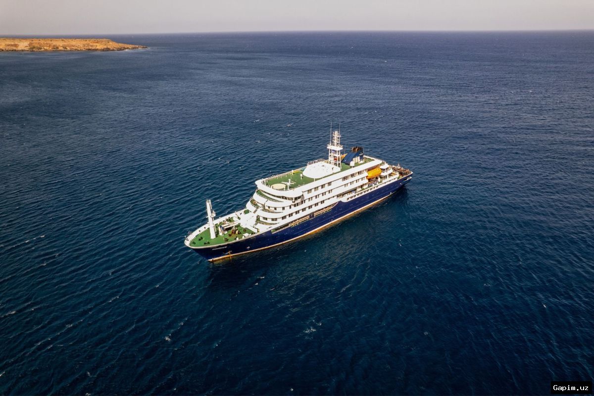 🦠🚢 Hantavirus outbreak on Atlantic cruise ship: 3 dead, UK national critically ill
