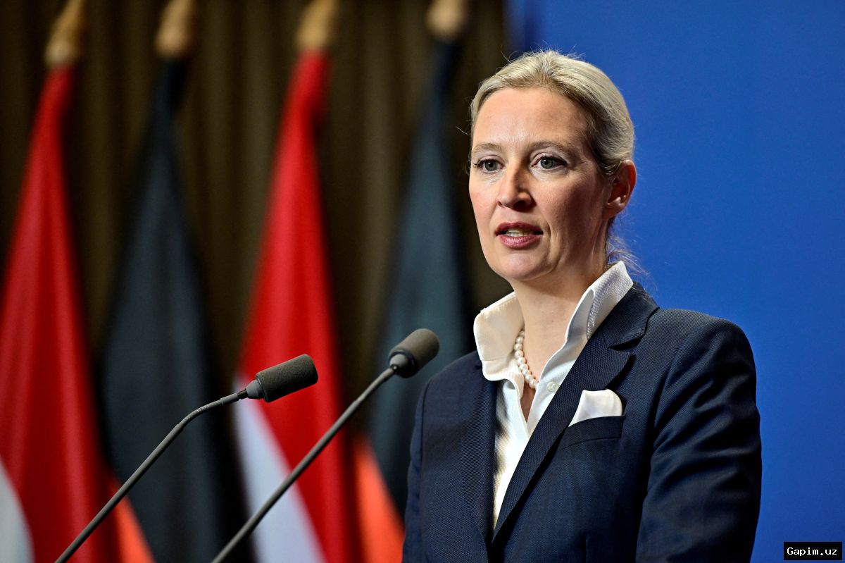🇩🇪🇪🇺 Немецкая партия «АдГ» намерена добиваться резкого сокращения полномочий Европейского союза