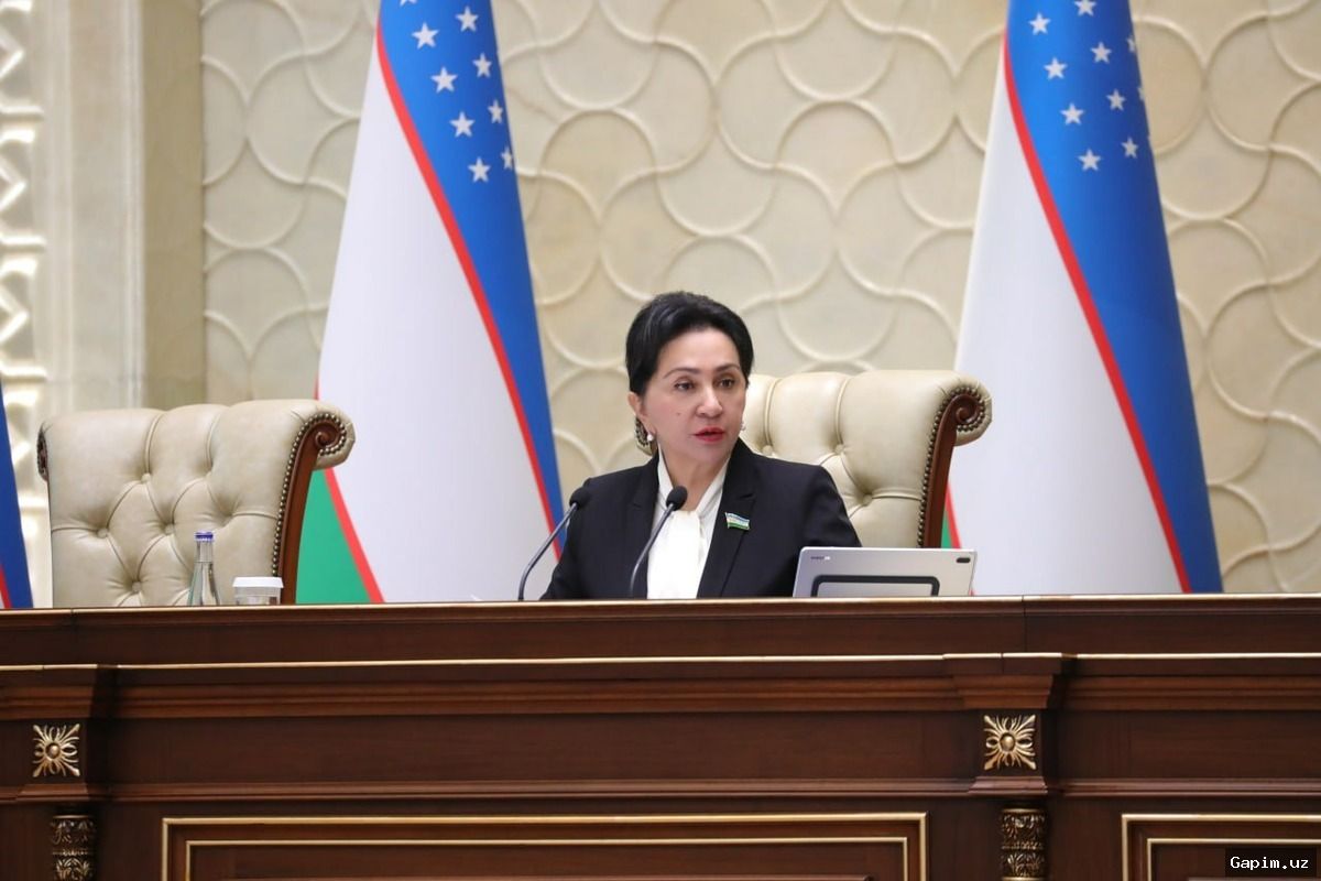🚧⚖️ Uzbekistan Senate Approves Law on Criminal Liability for Illegal Cross-Border Tunnels