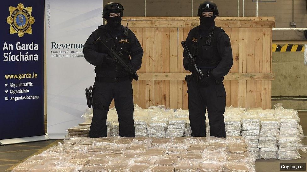 🌿🚔 Over 600 Cannabis and Opium Poppy Plants Seized in Uzbekistan's Bukhara Region