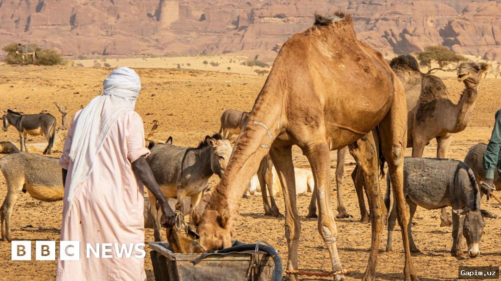 💧🔥 Water dispute in eastern Chad kills at least 42, officials say