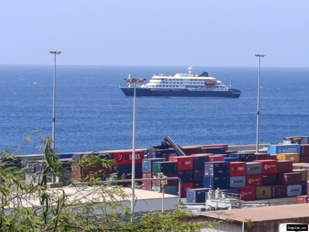🚢🦠 Трое погибли на круизном лайнере в Атлантике от хантавируса: симптомы и пути заражения