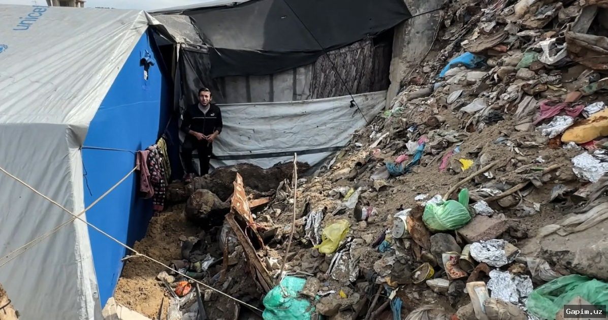 🐀🏕️ Крысы атакуют палатки в Газе: жертвы войны столкнулись с новой угрозой