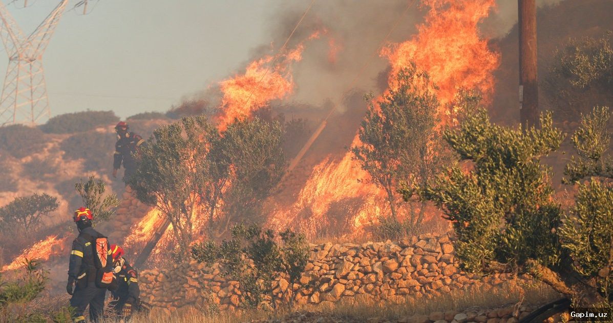 🔥🌲 Crete wildfires: Thousands evacuated, three firefighters dead