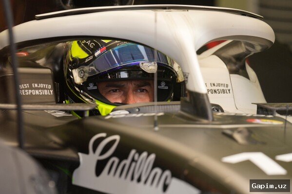 🏎️🌍 Formula 1 yulduzi Lyuis Hamilton Afrikani "qaytarib olish" harakatiga chaqirdi