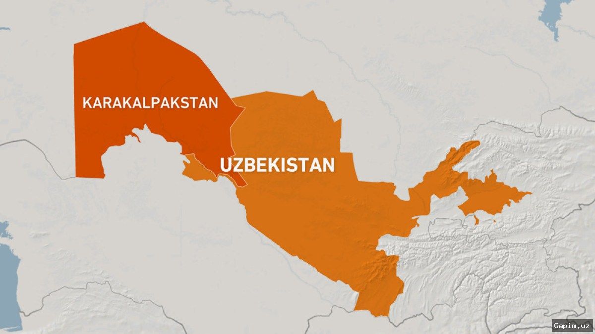 🦅🌿 Large-scale program launched in Karakalpakstan to restore endangered bustard population