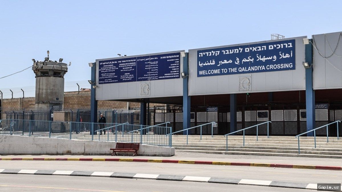 📻🚧 Basma FM: Radio Waves on Checkpoints and Dangers in the West Bank