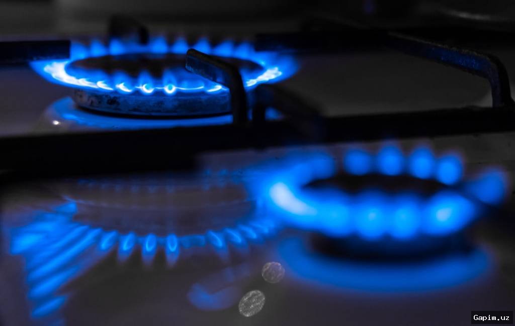 Лимит на газ в 500 кубометров продлен до 15 марта по всему Узбекистану – Минэнерго
