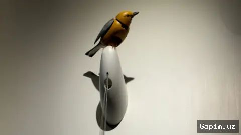 🛍️🐦 Бутик в Нью-Йорке столкнулся с травлей из-за жалобы американской певицы