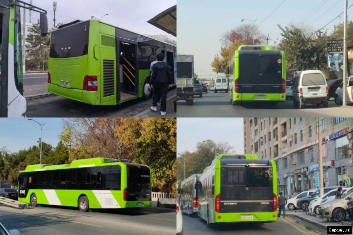 🚌🛣️ Toshkentda 79-sonli yangi avtobus yo‘nalishi ishga tushdi