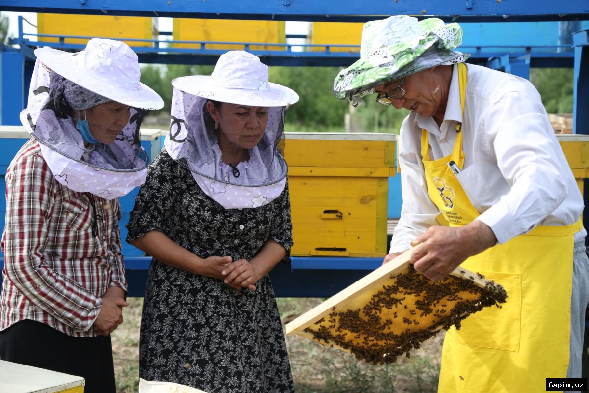 🍯🐝 В Нукусском районе пчеловодство приносит 200 млн сумов прибыли в год