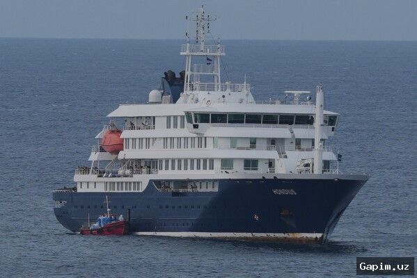 🦠🚢 WHO Chief: No Signs of Widespread Hantavirus Outbreak Yet, but Situation Could Change