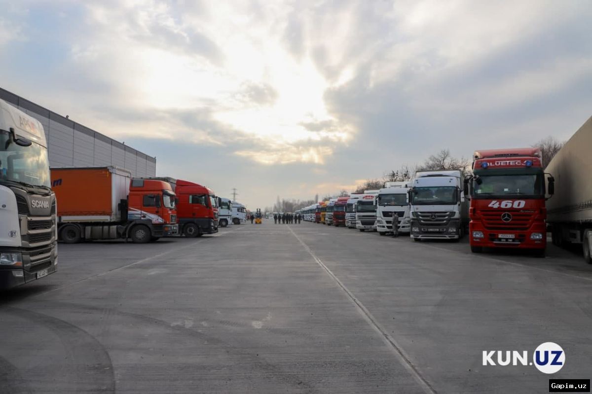 🚛📈 President Mirziyoyev Reviews Proposals for Transport and Logistics Development