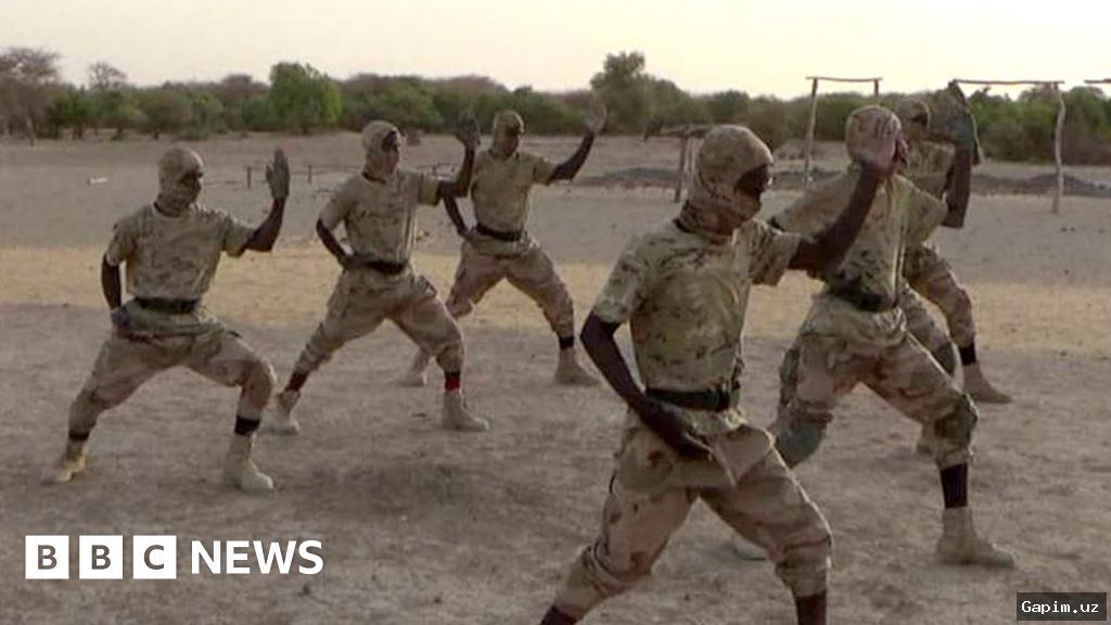 ⚔️🌍 Мали: боевики JNIM нанесли мощный удар по правительству и российским наемникам