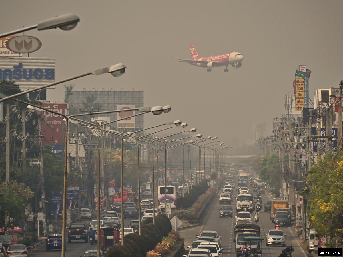 🌫️🏥 Chiang Mai shahrida havo ifloslanishi: oilalar farzandlari uchun shaharni tark etishni o'ylashmoqda