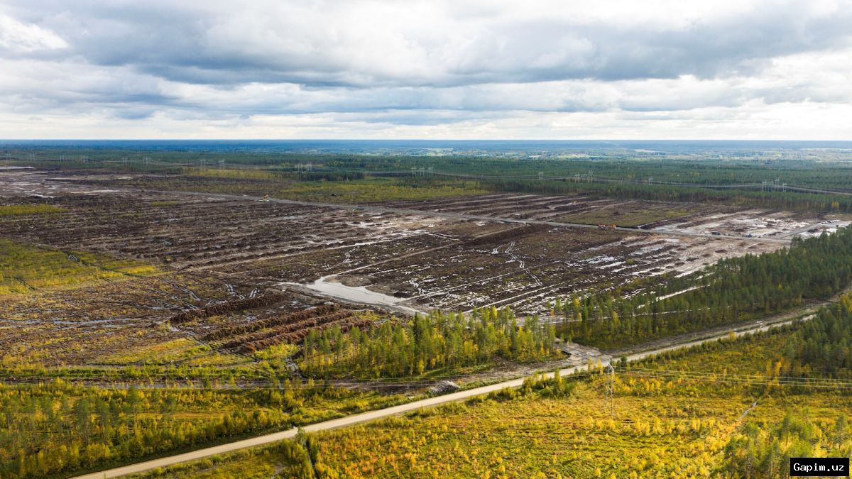 🌲⚖️ Finnish Police Launch Criminal Probe Into Environmental Breaches at Google Data Centre Site