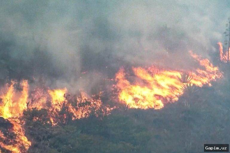 🔥🏞️ Крупный лесной пожар в Колумбии угрожает городу Вилья-де-Лейва
