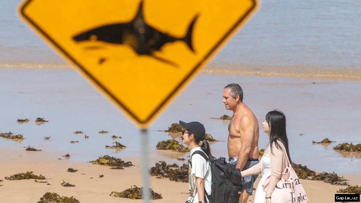 🦈⚠️ Нападение акулы в Западной Австралии: погиб 35-летний мужчина