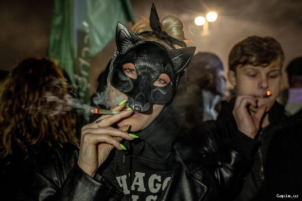 🌿⚖️ Germany's Cannabis Law: Two Years On, Controversy Persists