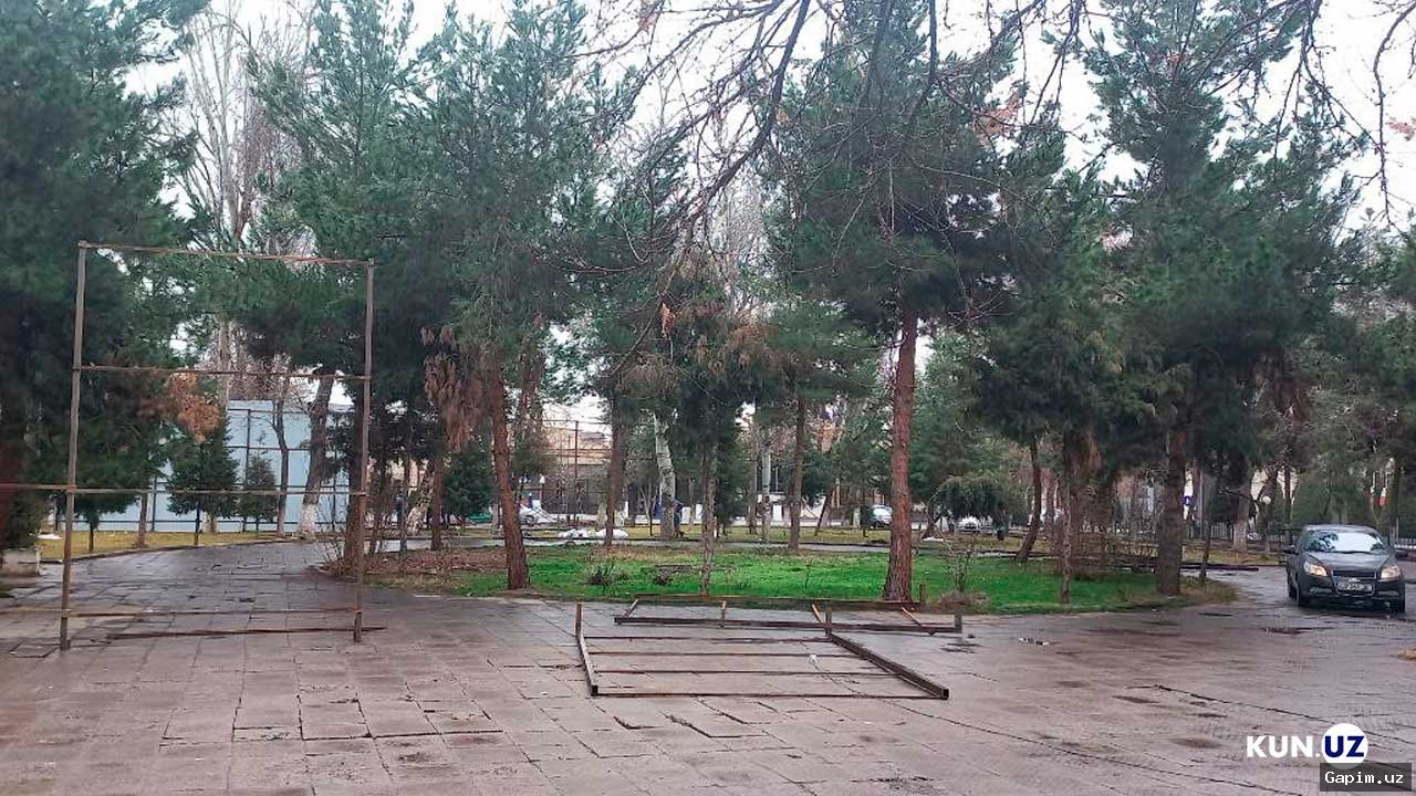 🌳🔥 Toshkentda daraxtlarni 'sanitariya kesish' nomi ostida ommaviy kesish davom etmoqda