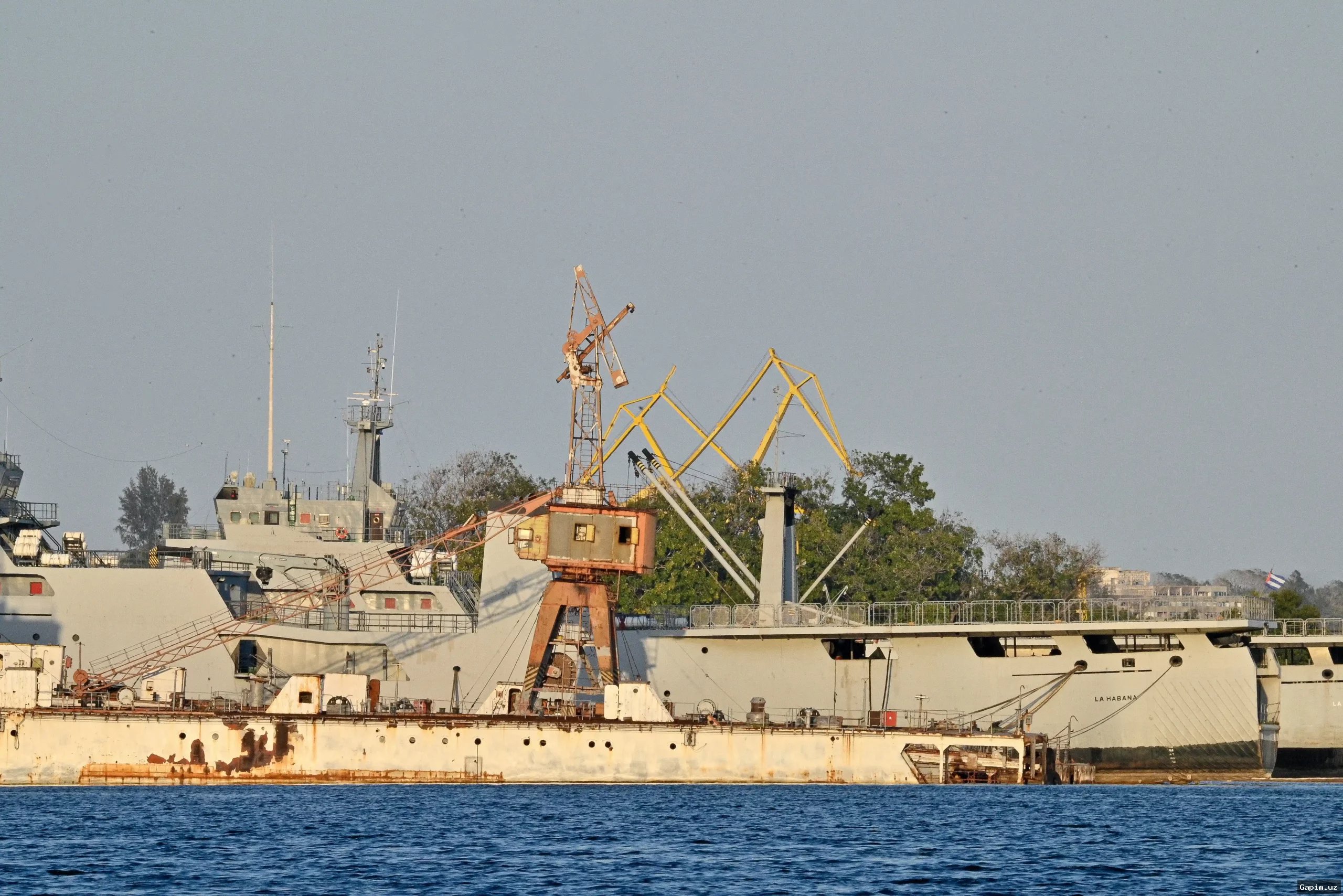 Kuba qirg'oqbo'yida sodir bo'lgan otishmada amerikalik fuqaro halok bo'ldi