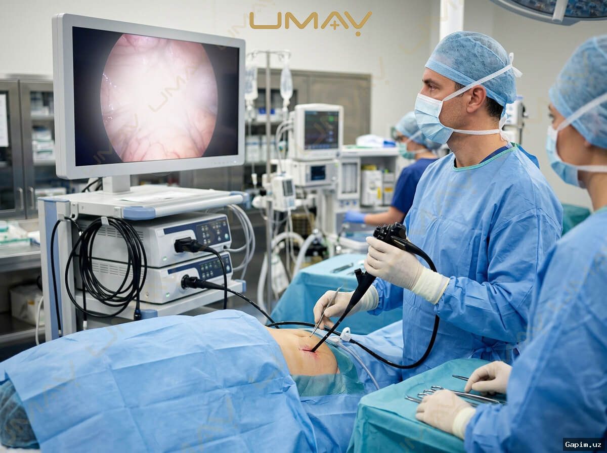 🏥📋 Медицинская практика: компания Endo Stars предлагает свои решения для клиник Узбекистана