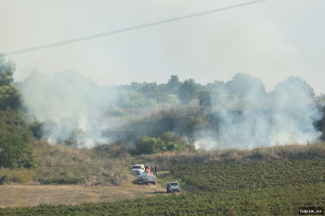 🚀💥 Йеменские хуситы заявили о ракетном ударе по Израилю, американские войска ранены в Саудовской Аравии