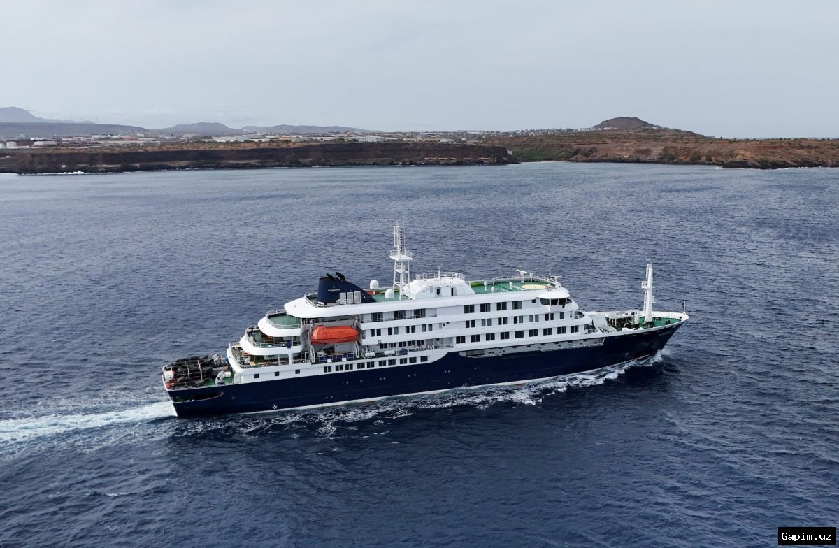 🔬🚢 Власти разыскивают десятки пассажиров круизного лайнера с хантавирусом