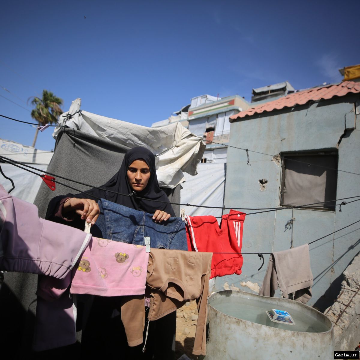⚰️⛺ Gaza's widows: War forces them to struggle alone