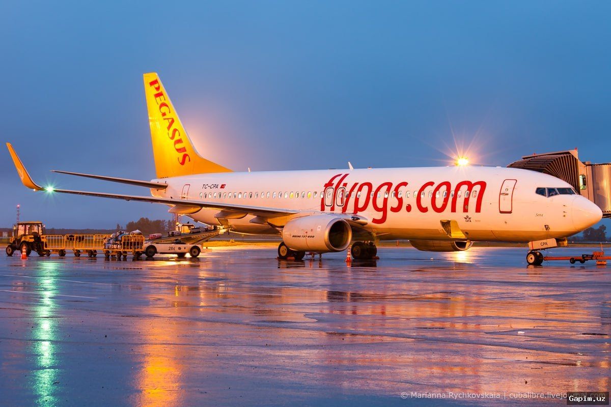 ✈️🇹🇷 Pegasus Airlines запустит регулярные авиарейсы из Стамбула в три региона Узбекистана