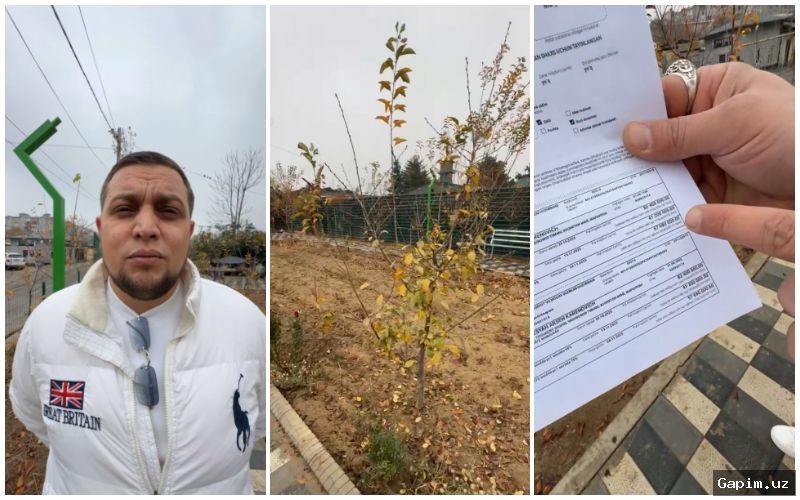 💰🔒 Suspect Arrested in Tashkent for Theft of 880 Million Sums from Office