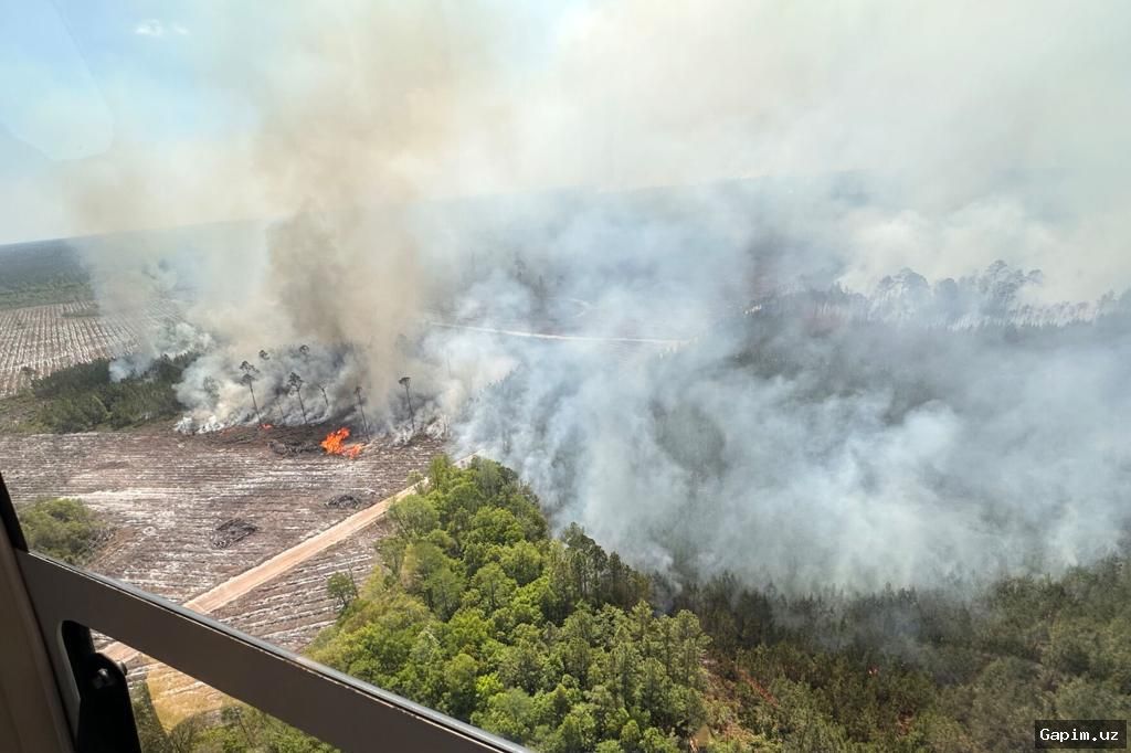 🔥🌲 Florida janubida yirik o‘rmon yong‘inlari: havo sifati yomonlashdi