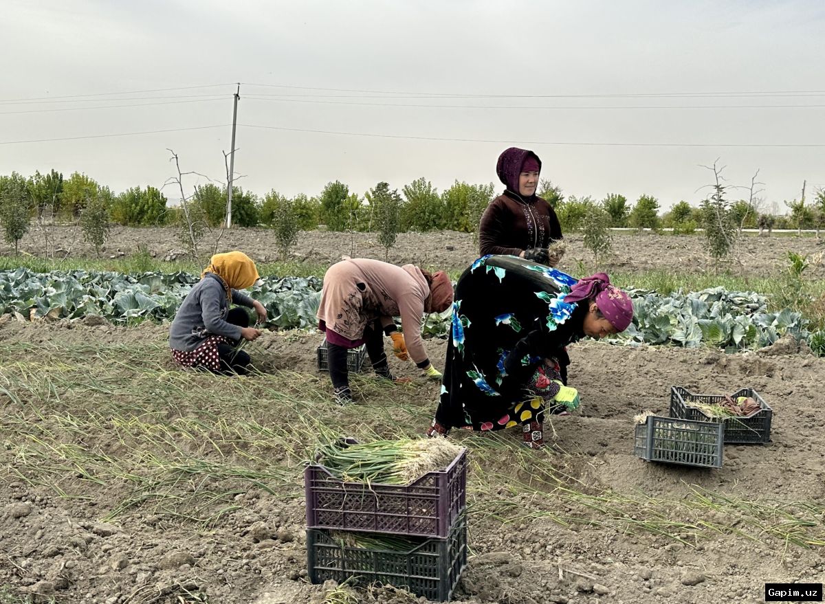 🌾👨‍🌾 В Каракалпакстане назначен новый руководитель Агентства по карантину и защите растений