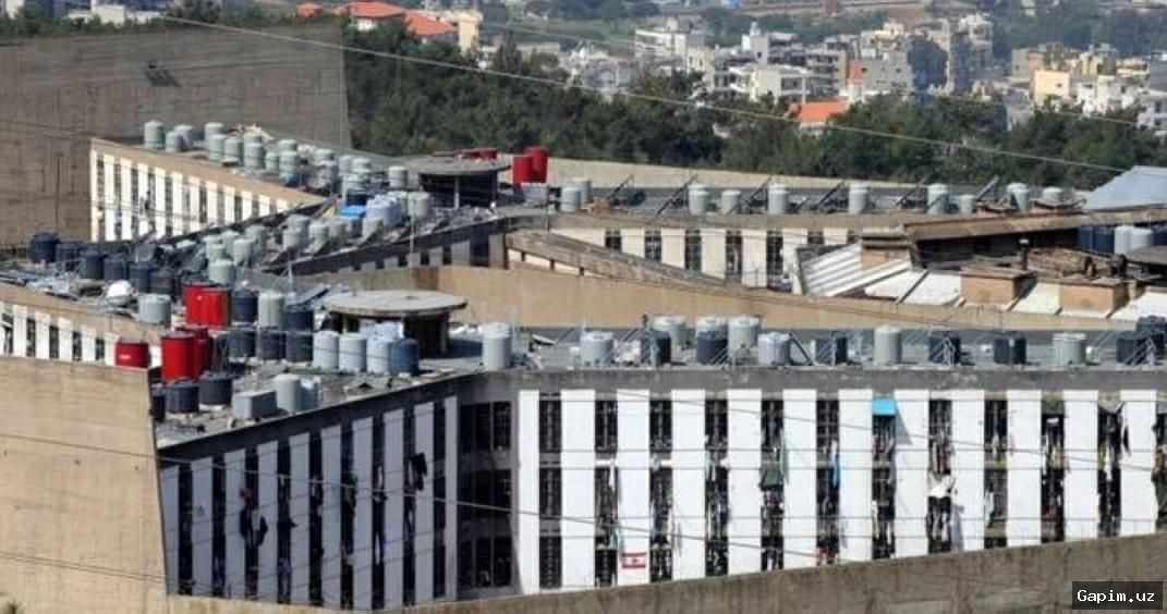 🕊️⚖️ Health of hunger-striking inmates in Lebanon's largest prison 'dire'