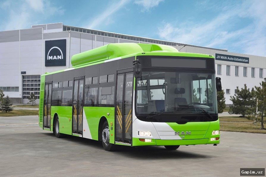 🚌❄️ Tashkent Buses: 191 Vehicles Lack Air Conditioning, Officials Vow to Phase Them Out
