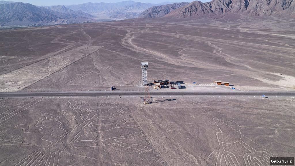✈️💥 Tourist Plane Crash Near Peru's Nazca Lines Kills 13