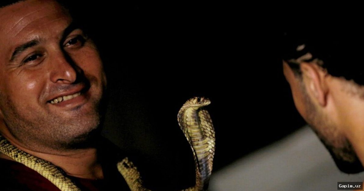 🐍⚰️ Немецкий турист умер в Египте после укуса змеи, заползшей в его брюки