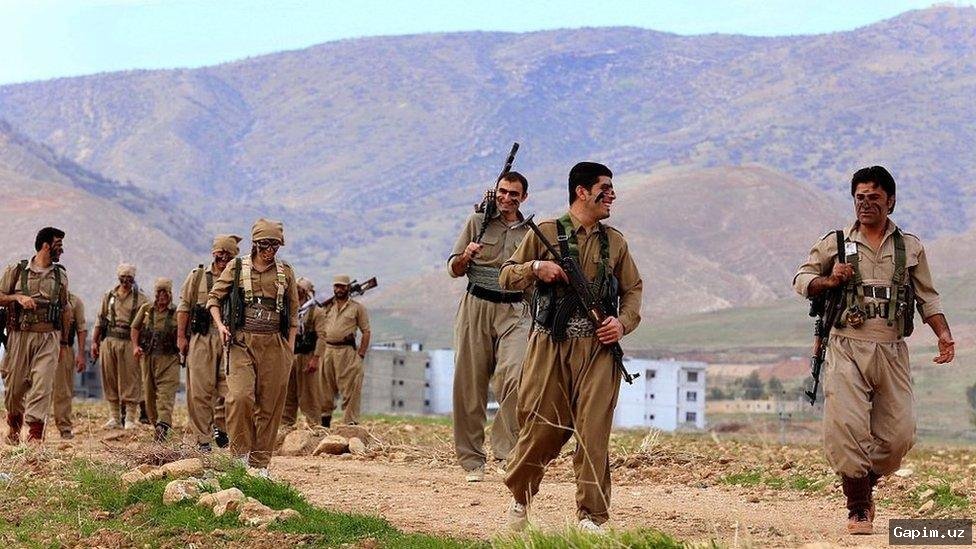 📺🚫 Демократическая партия Иранского Курдистана: Информация о 'наступлении на территорию Ирана' является ложной