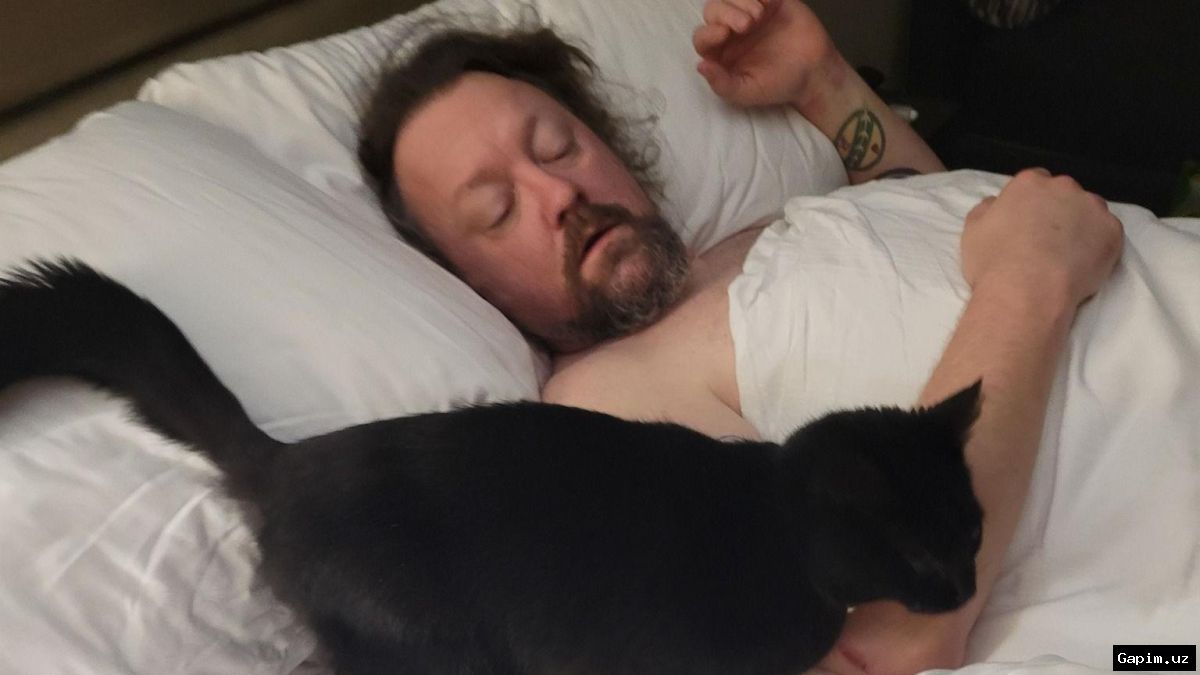 🐈‍⬛⚖️ Bo‘stonliq tumanidagi mehmonxonada mushuklarga nisbatan shafqatsizlik qilgan ikki kishi qamoq jazosiga hukm qilindi