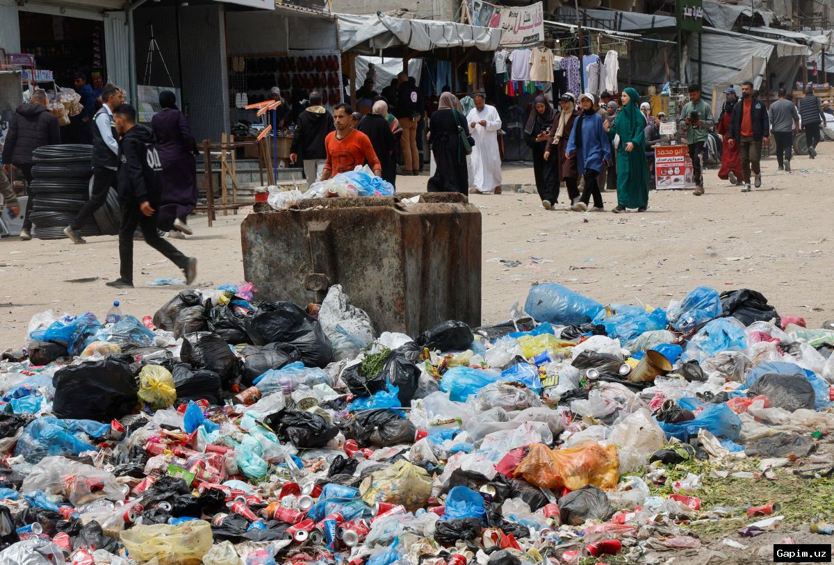 🐀🏕️ Gaza's rodent infestation: A new plague after war