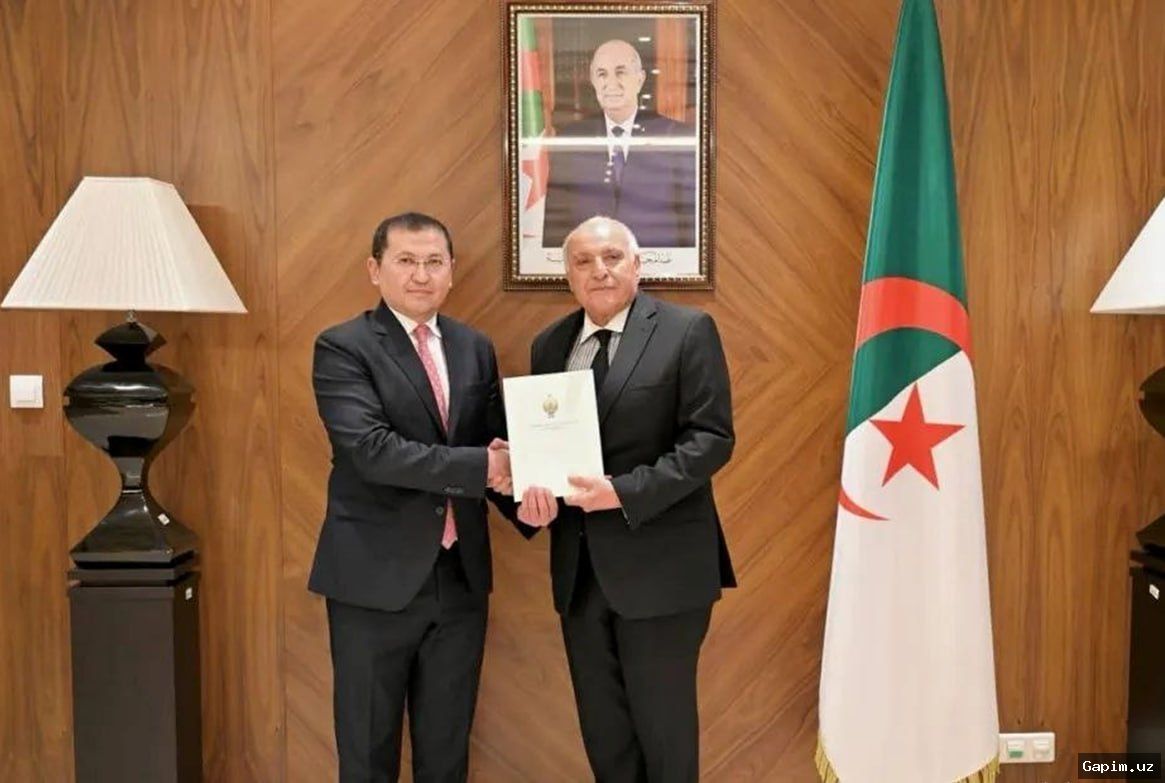 🤝🇩🇿 Uzbekistan and Algeria: New Ambassador Presents Credentials