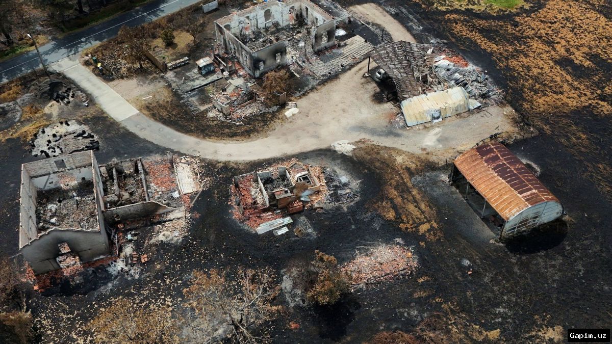 🔥🌲 Пожары во Франции обнажили 400 исторических снарядов времен Второй мировой войны