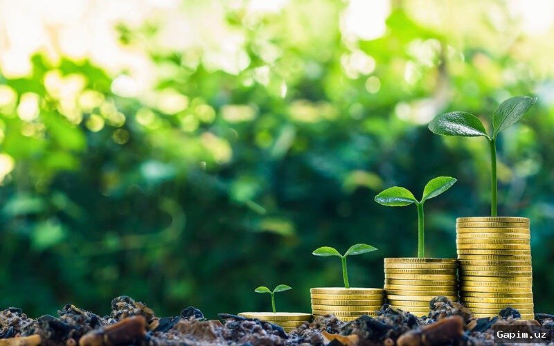 🌾⚡️ Xorazmda qishloq xo‘jaligi ishlab chiqarish o‘sishi va bioyoqilg‘i loyihalari rejalashtirilmoqda