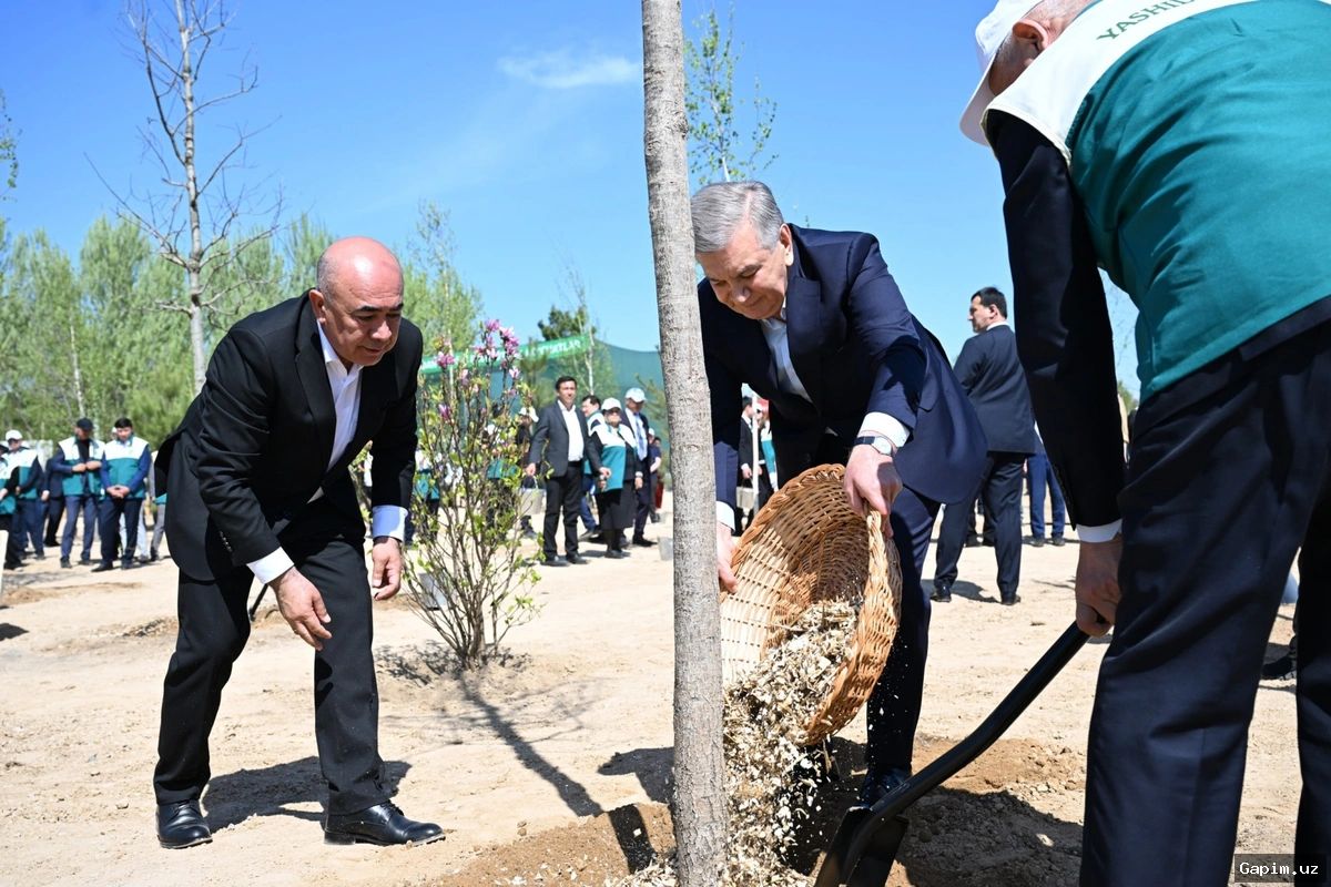 🌳🤝 Главы Узбекистана и Чехии посадили дерево дружбы