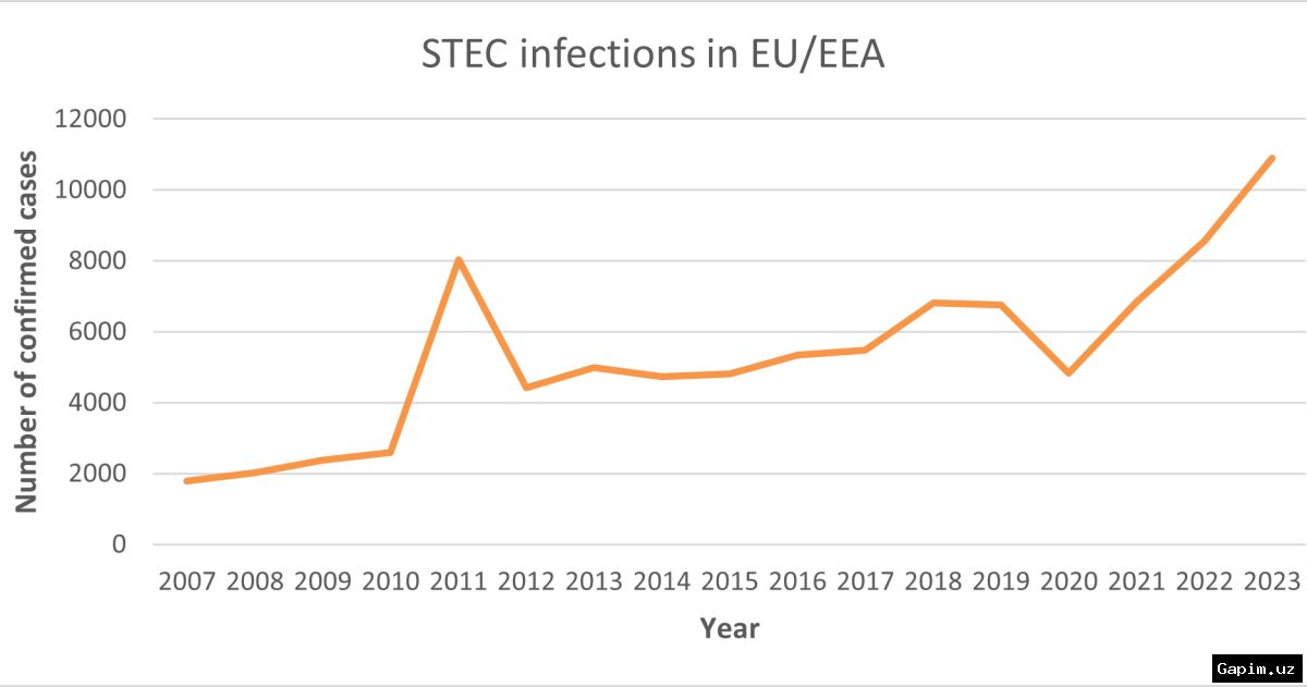 🦠📈 Yevropada gonoreya va sifilis rekord darajaga yetdi