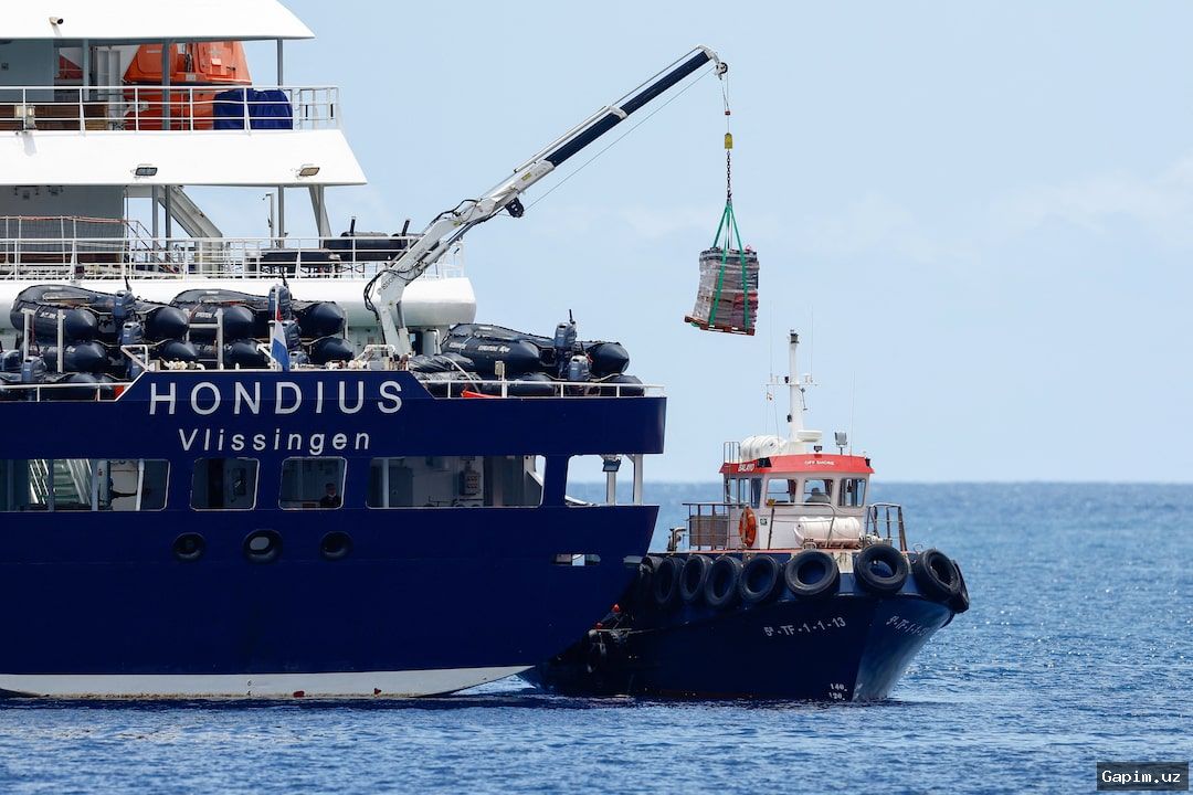 🚢🦠 Вспышка хантавируса на круизном лайнере MV Hondius: пассажиры возвращаются на родину